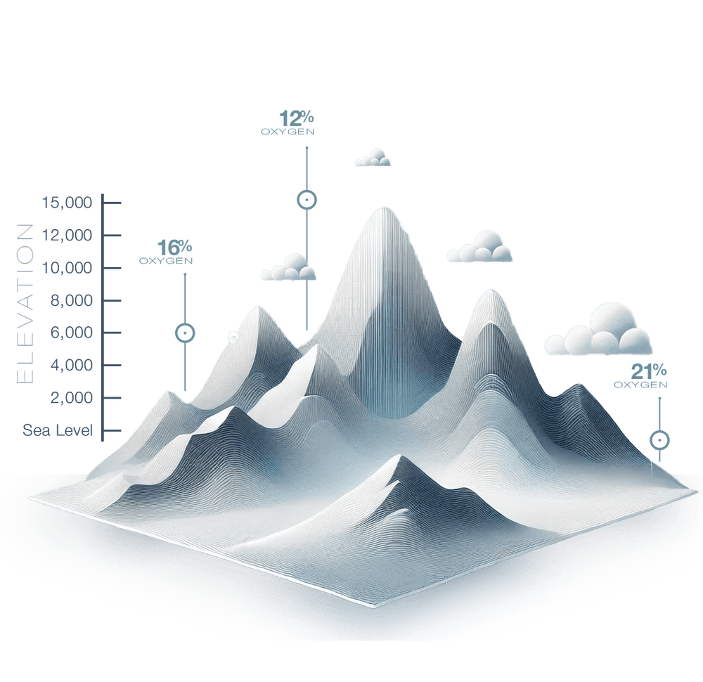 Portable Oxygen Boost – Breathe Better, Live Better | REV/O2